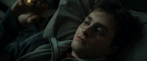 RdM1-Potterish8378.jpg