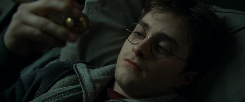 RdM1-Potterish8386.jpg