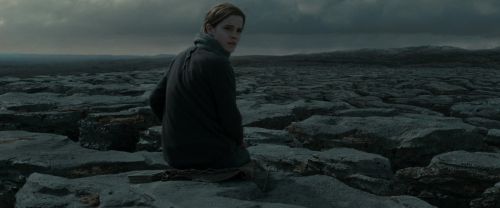 RdM1-Potterish8416.jpg