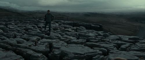 RdM1-Potterish8421.jpg