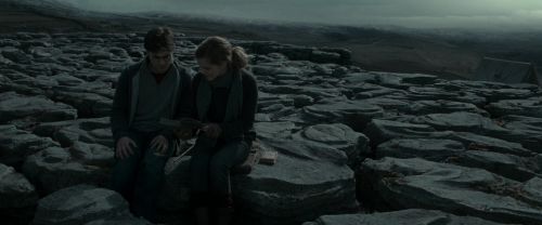 RdM1-Potterish8476.jpg