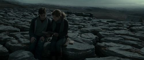 RdM1-Potterish8478.jpg