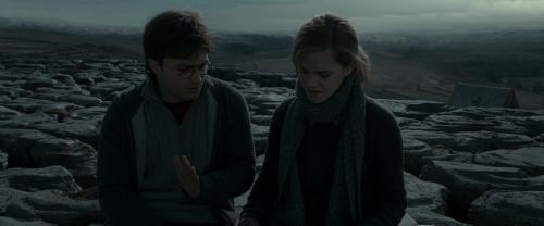 RdM1-Potterish8510.jpg