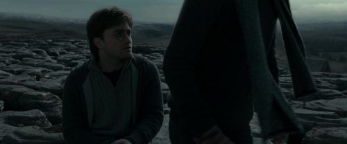 RdM1-Potterish8525.jpg