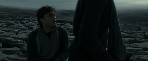 RdM1-Potterish8526.jpg