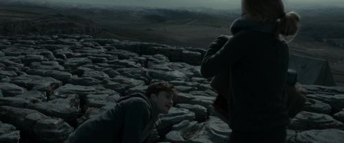 RdM1-Potterish8536.jpg