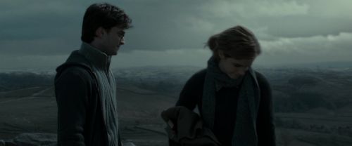RdM1-Potterish8611.jpg