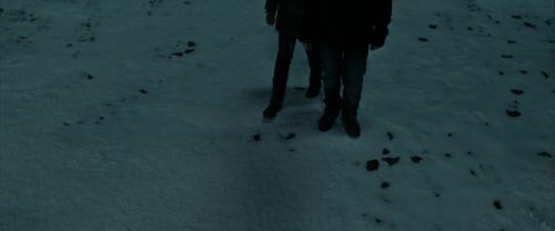 RdM1-Potterish8633.jpg