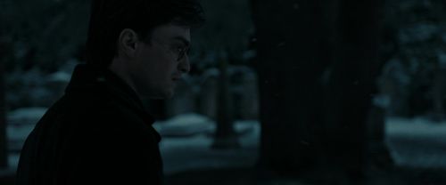 RdM1-Potterish8743.jpg
