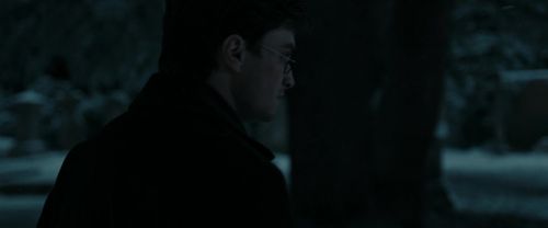 RdM1-Potterish8744.jpg