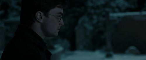 RdM1-Potterish8761.jpg