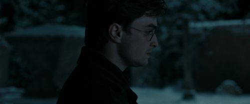 RdM1-Potterish8763.jpg