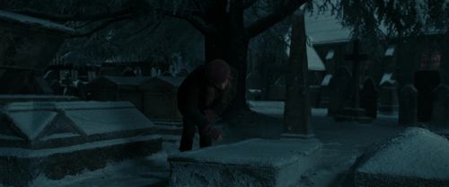 RdM1-Potterish8767.jpg