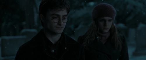 RdM1-Potterish8820.jpg