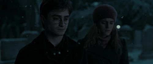 RdM1-Potterish8827.jpg