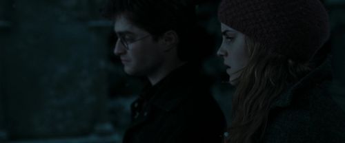 RdM1-Potterish8908.jpg