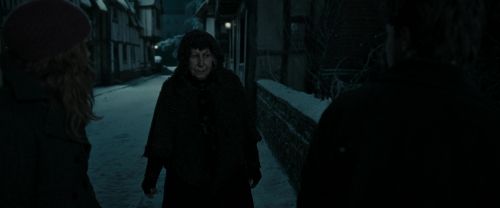 RdM1-Potterish9014.jpg