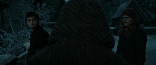 RdM1-Potterish9018.jpg