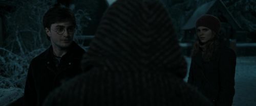 RdM1-Potterish9027.jpg