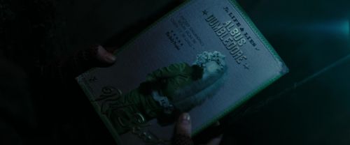 RdM1-Potterish9170.jpg