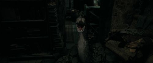 RdM1-Potterish9298.jpg