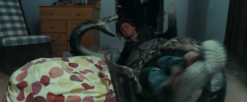 RdM1-Potterish9333.jpg
