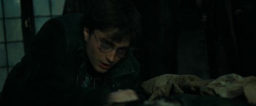 RdM1-Potterish9353.jpg