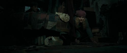 RdM1-Potterish9367.jpg
