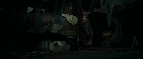 RdM1-Potterish9368.jpg