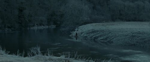 RdM1-Potterish9419.jpg