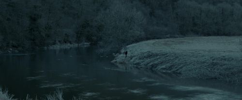 RdM1-Potterish9428.jpg