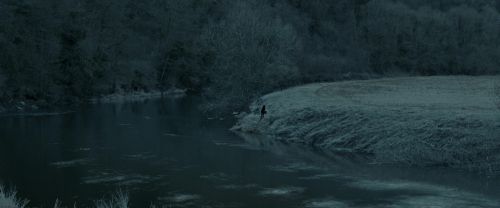 RdM1-Potterish9429.jpg