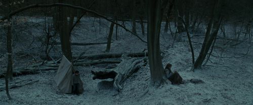 Click to view full size image
==============
RdM1-Potterish9439.jpg RdM1-Potterish9439.jpg