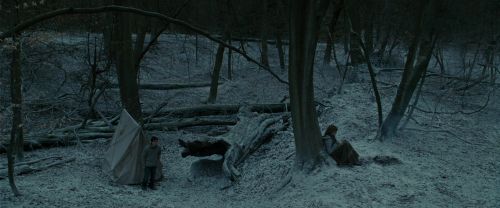 Click to view full size image
==============
RdM1-Potterish9446.jpg RdM1-Potterish9446.jpg