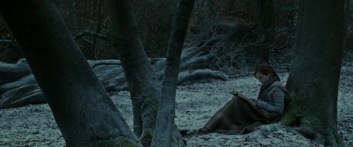 RdM1-Potterish9448.jpg