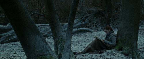 RdM1-Potterish9449.jpg