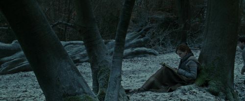 RdM1-Potterish9450.jpg