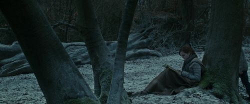 RdM1-Potterish9452.jpg