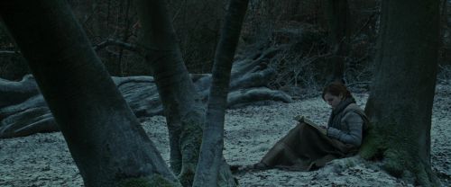 Click to view full size image
==============
RdM1-Potterish9454.jpg RdM1-Potterish9454.jpg