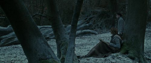 RdM1-Potterish9458.jpg