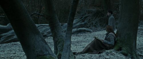 RdM1-Potterish9460.jpg