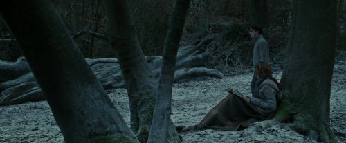 Click to view full size image
==============
RdM1-Potterish9466.jpg RdM1-Potterish9466.jpg