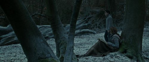 Click to view full size image
==============
RdM1-Potterish9467.jpg RdM1-Potterish9467.jpg