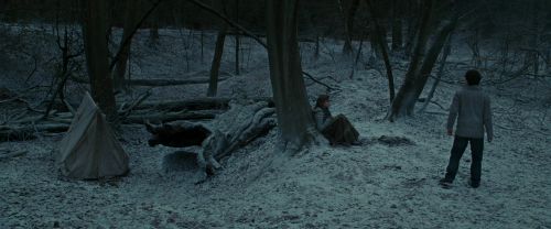 RdM1-Potterish9475.jpg