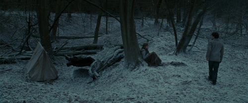 RdM1-Potterish9476.jpg