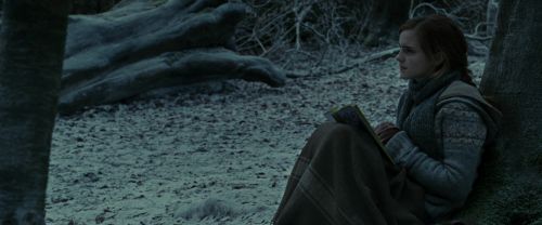 RdM1-Potterish9478.jpg