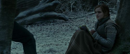 RdM1-Potterish9482.jpg