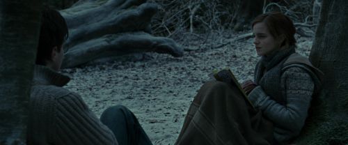 RdM1-Potterish9491.jpg