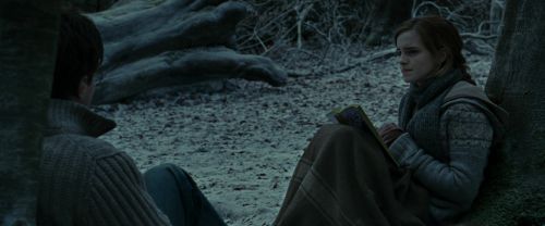 RdM1-Potterish9503.jpg