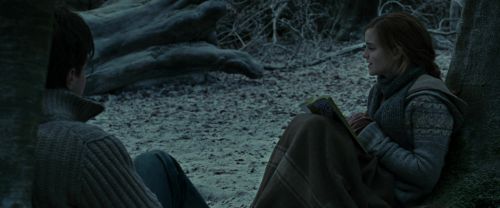 RdM1-Potterish9507.jpg